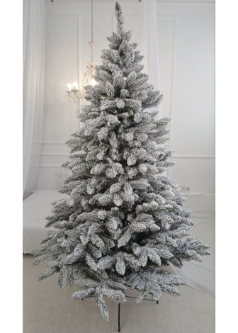 Ялинка Альпійська Засніжена