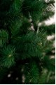 Ялинка класична Казка зелена 2,5 м