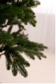Ялина Лита VIP Royal зелена 2,3 м 