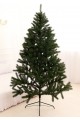 Ялина Лита Буковельська зелена 2,5 м