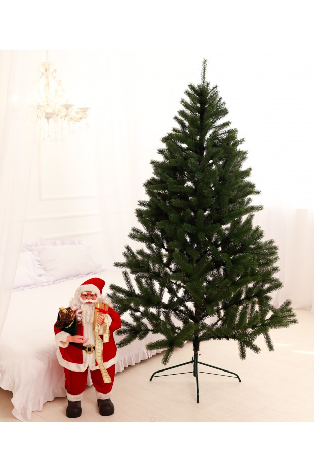 Ялина Лита Буковельська зелена 2,5 м