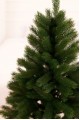 Ялина Лита Буковельська зелена 1,3 м