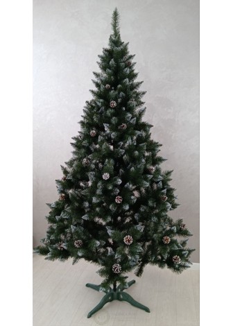 Ялина Елітна з шишками