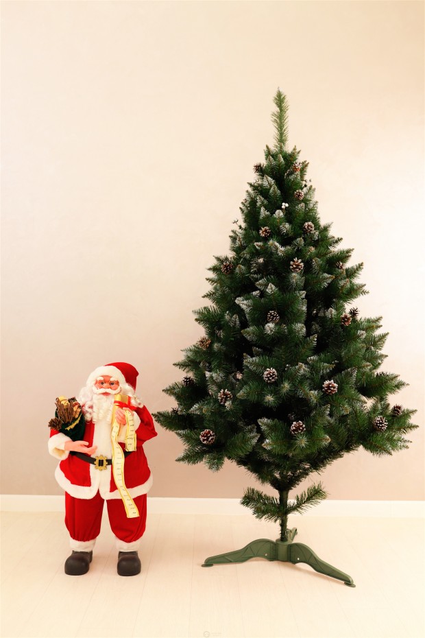 Ялина Елітна з шишками та срібною калиною 1,8м