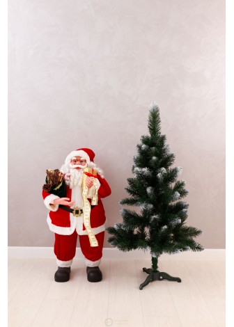 Ялинка Королева Європейська з білим кінчиком 1,0м