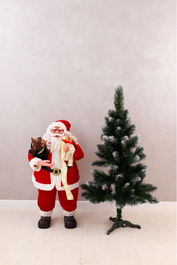 Ялинка Королева Європейська з білим кінчиком 1,0м