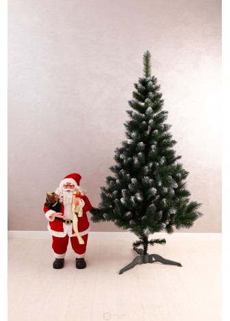 Ялинка Королева Європейська з білим кінчиком 1,8м