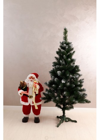 Ялинка Королева Європейська з білим кінчиком 1,5м