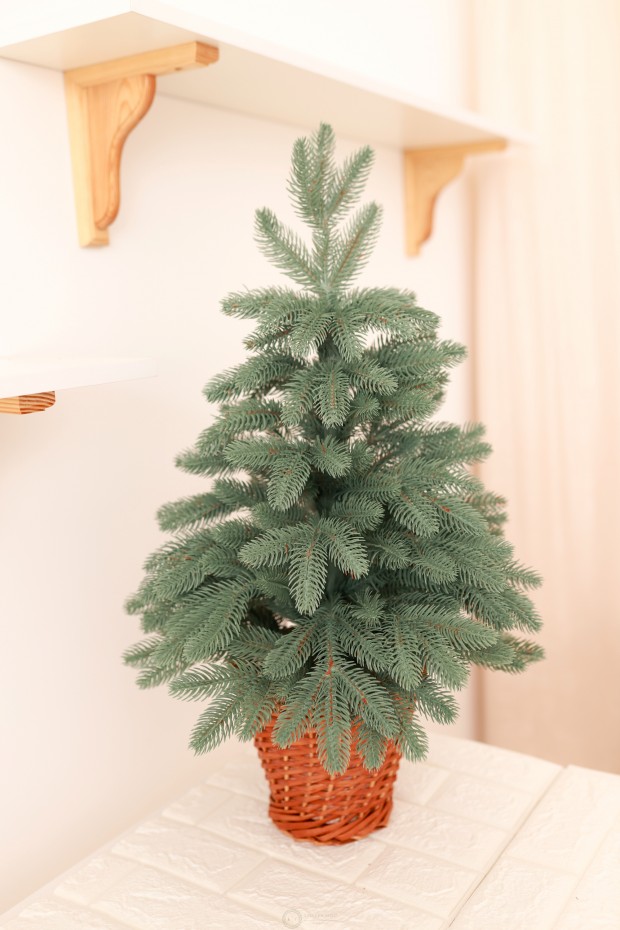 Ялинка лита блакитна в горщику з лози 70 см