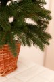 Ялинка лита зелена в горщику з лози 90 см