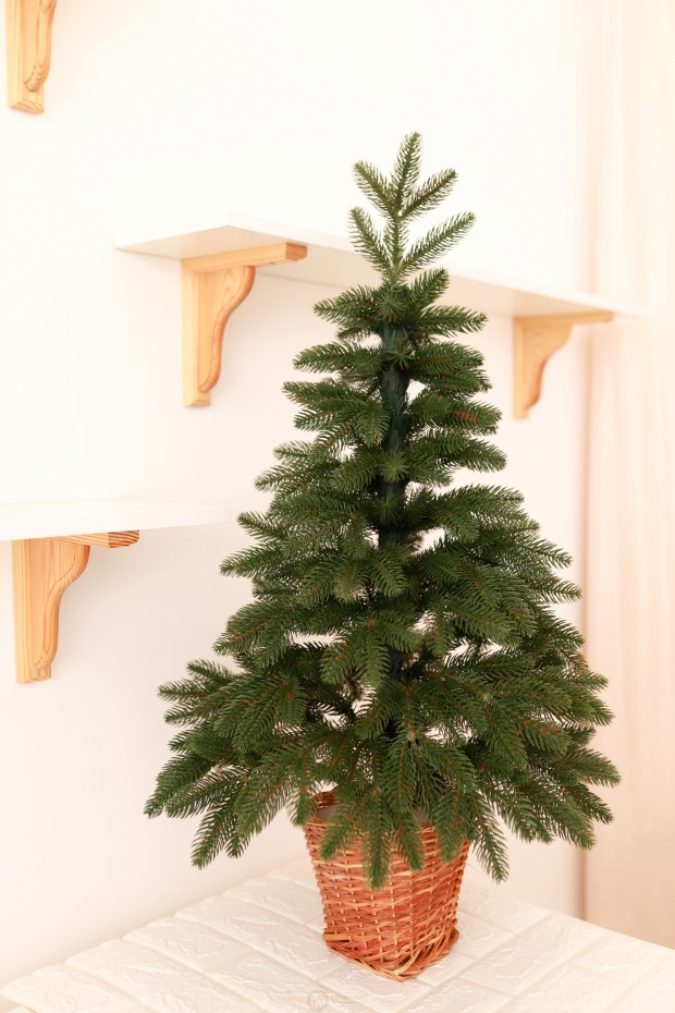 Ялинка лита зелена в горщику з лози 90 см