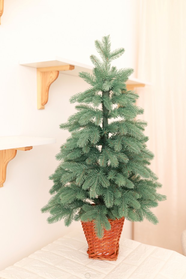 Ялинка лита блакитна в горщику з лози 90 см