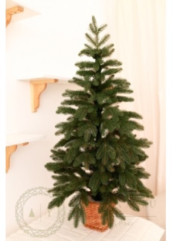 Ялинка лита зелена в горщику з лози 110 см
