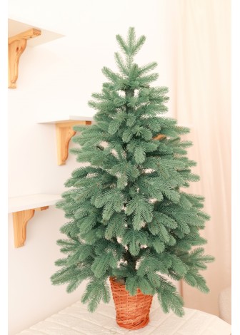 Ялинка лита блакитна в горщику з лози 110 см