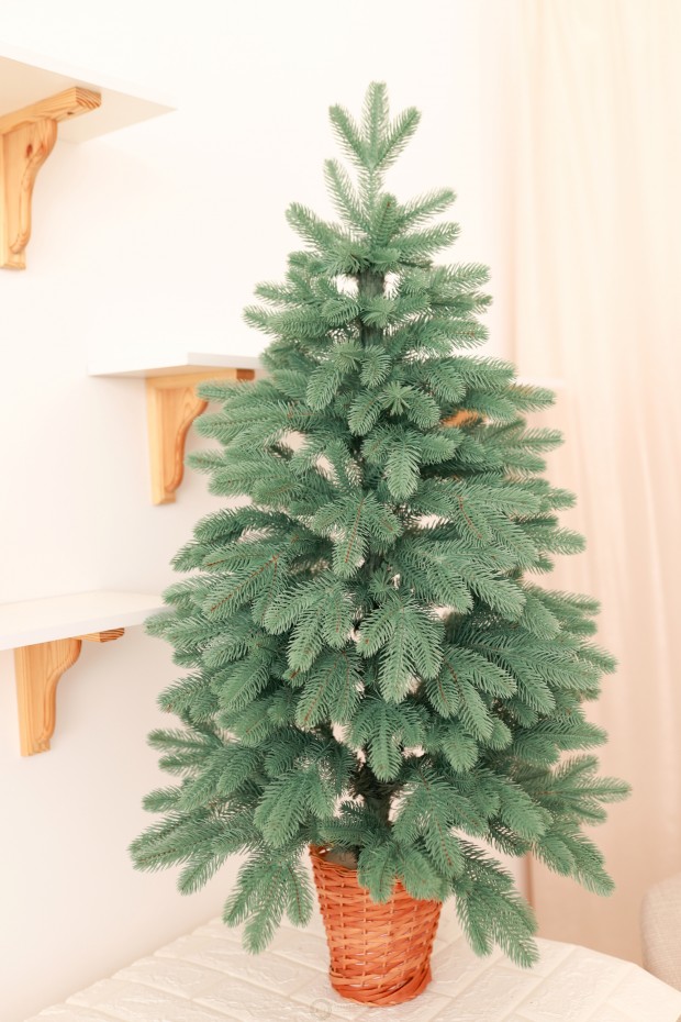 Ялинка лита блакитна в горщику з лози 110 см