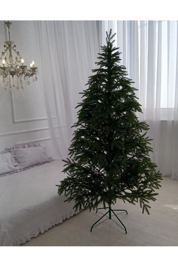 Лита Смерека Карпатська зелена 2,5 м