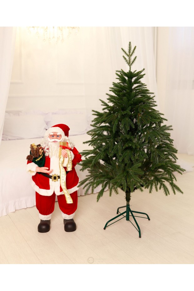 Лита Смерека Карпатська зелена 1,3 м