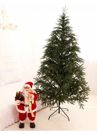 Лита Смерека Карпатська зелена 2,1 м