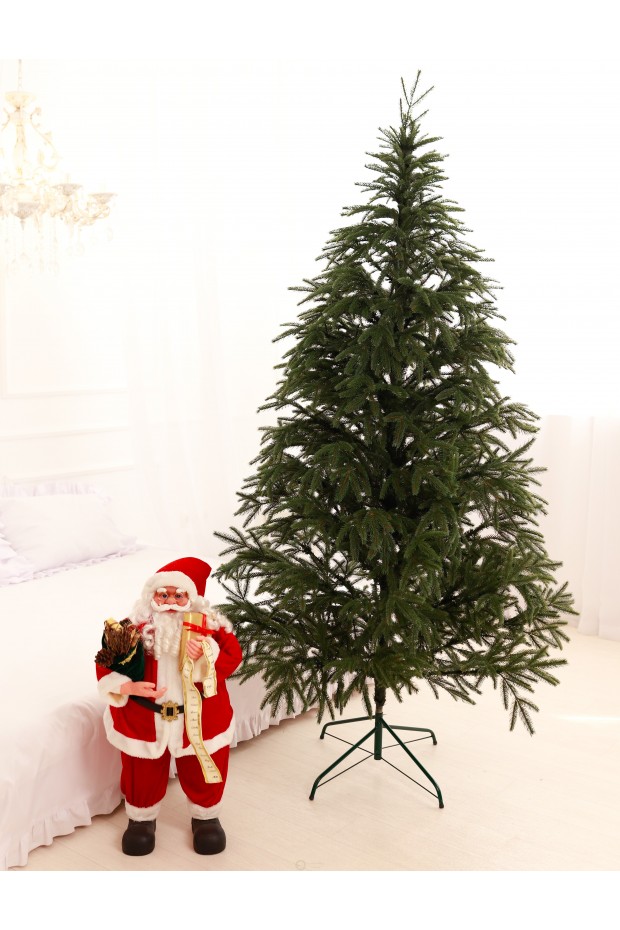 Лита Смерека Карпатська зелена 2,1 м