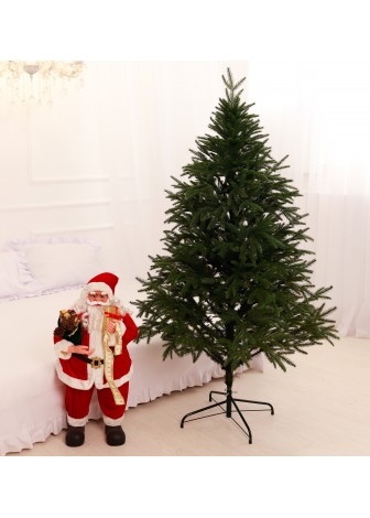 Лита Смерека Карпатська зелена 1,8 м