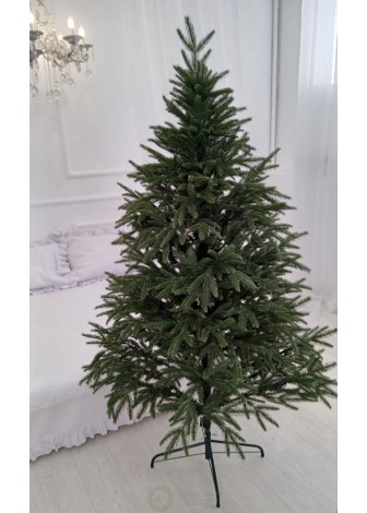 Лита Смерека Карпатська