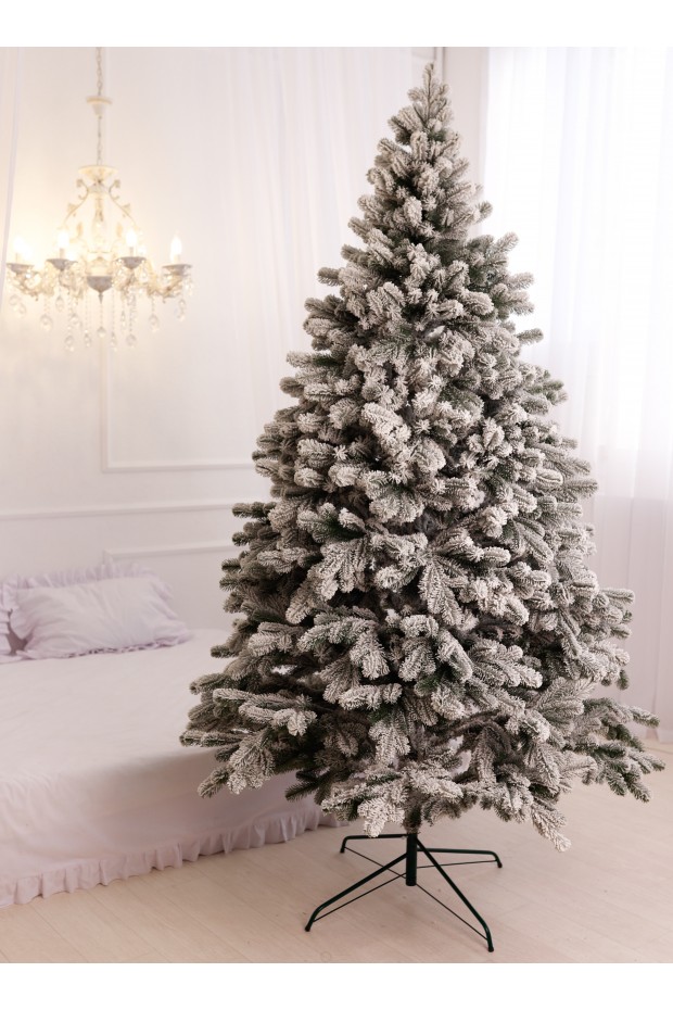 Ялина Лита Royal засніжена 2,3 м 