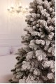 Ялина Лита Royal засніжена 2,1 м 