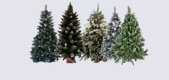 Ялина Елітна з шишками та калиною