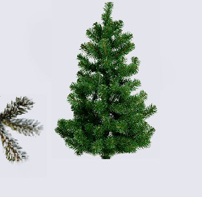 Лита зелена Сосна