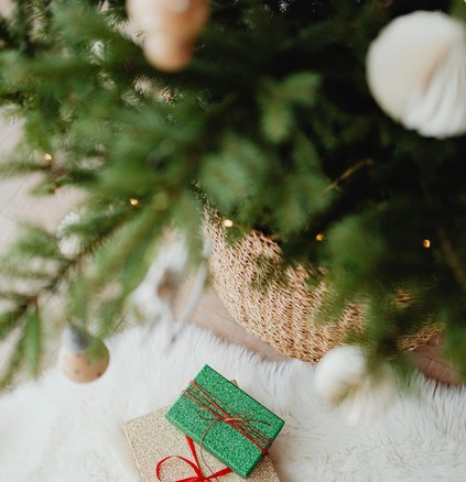 Подарункові ялинки в горщиках