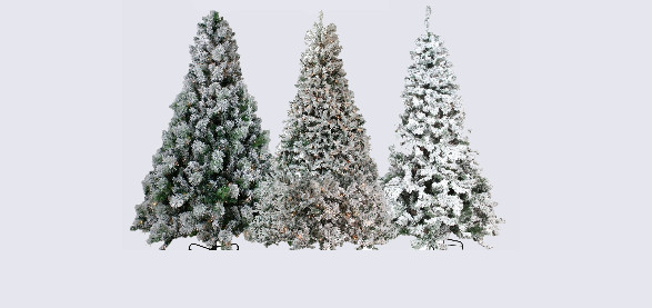 Засніжені литі ялини